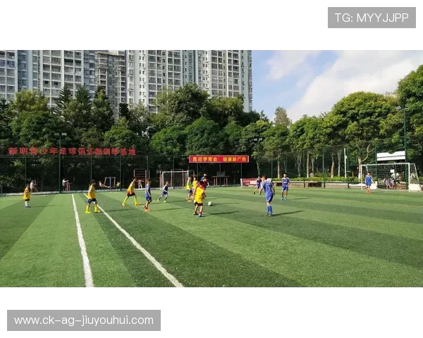 《在苞米地里捡足球的少年梦想与成长之旅》 《在苞米地里捡足球的少年梦想与成长之旅》